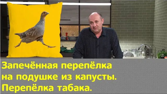 Запечённая перепёлка на подушке из капусты