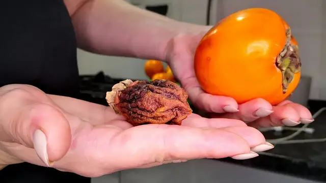 Домашние натуральные сухофрукты 