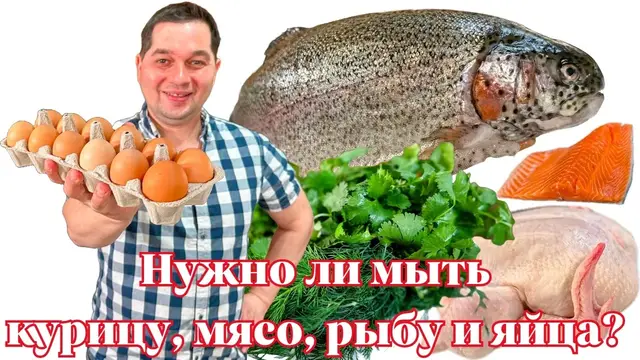 Можно ли мыть яйца и почему нельзя мыть курицу из магазина