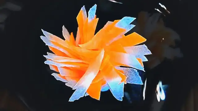 Чудесные цветы из моркови и редиса