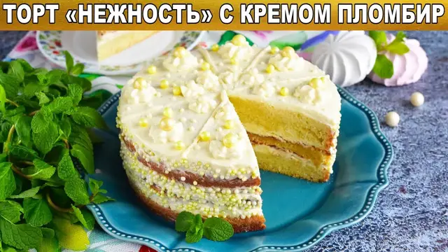 Бисквитный торт Нежность с пломбиром 