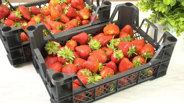 Консервирование клубники
