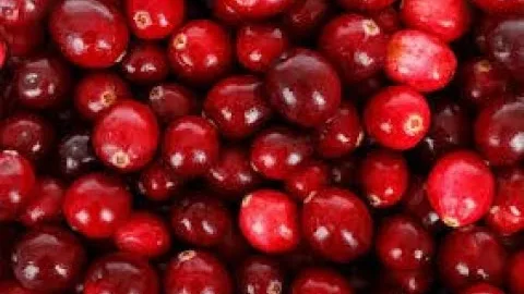 Варенье из клюквы