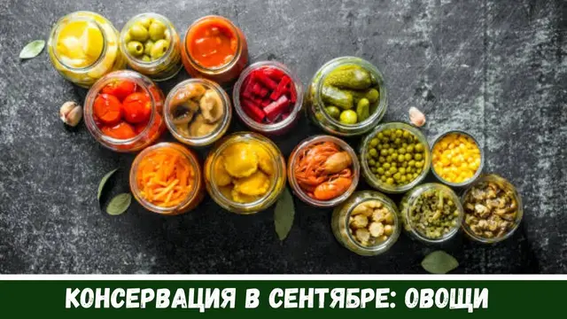 Маринованные баклажаны, помидоры, перец, сливы, кетчуп, огурцы