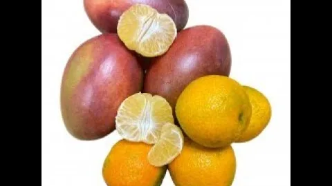 Желе из мандаринов и манго