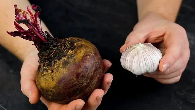 Салат со свеклой