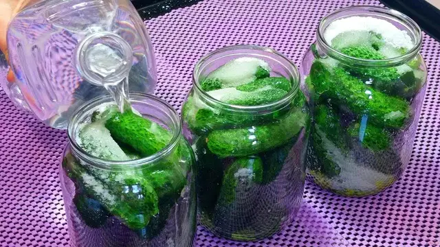 Самые вкусные огурчики на зиму