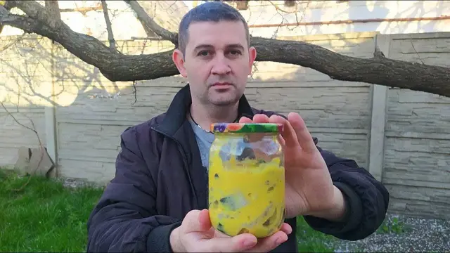 Селедка в нежном горчичном соусе