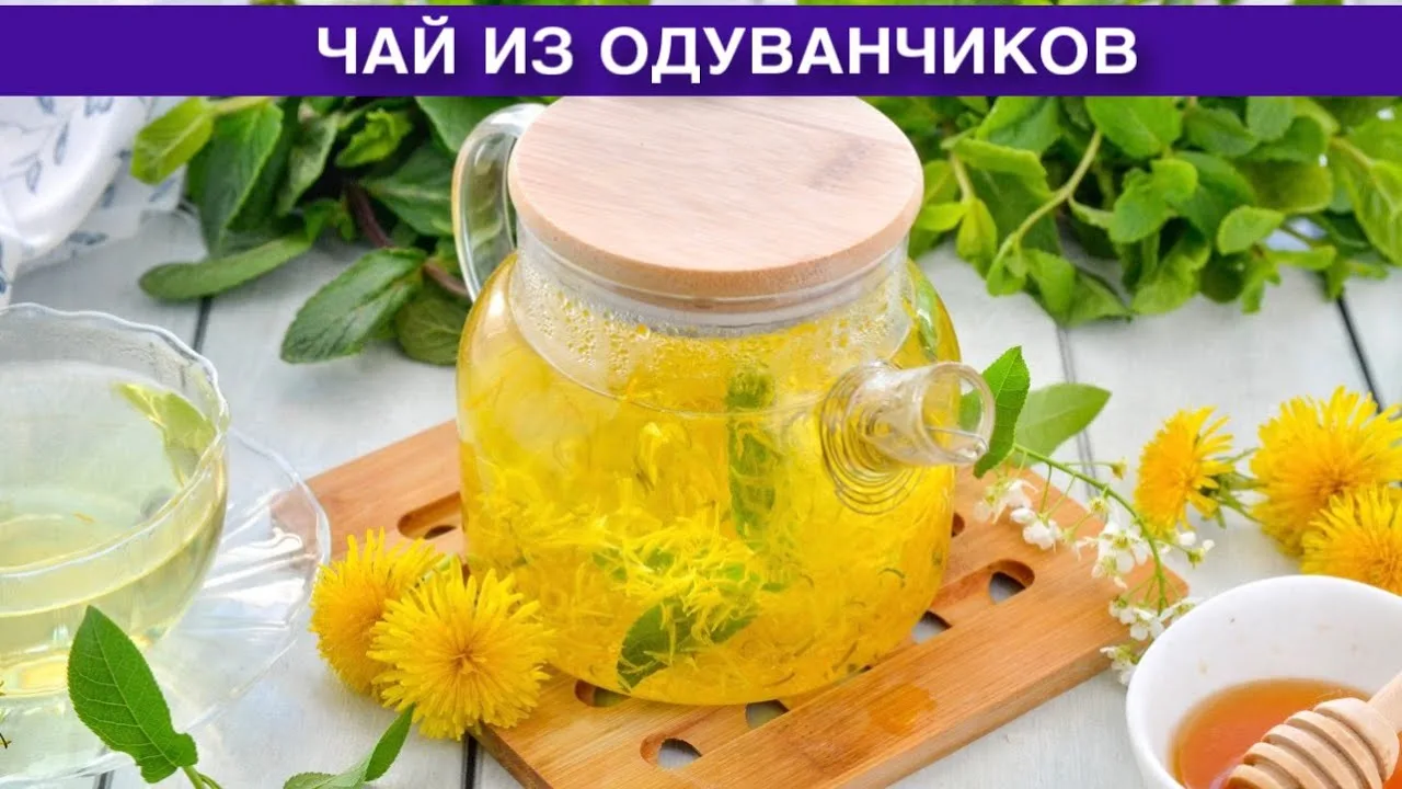 Вкусный чай из одуванчиков