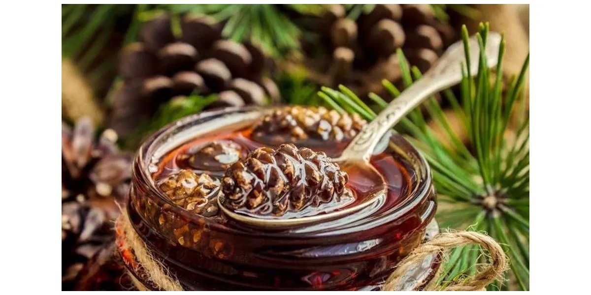 Откройте для себя новый вкус: приготовление варенья из шишек