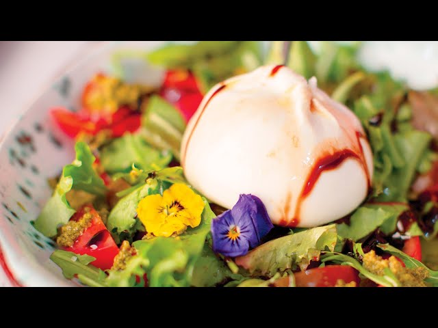 Салат с бурратой и помидорами по мотивам салата Капрезе