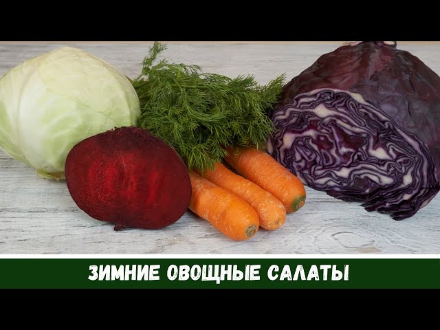Зимние овощные салаты