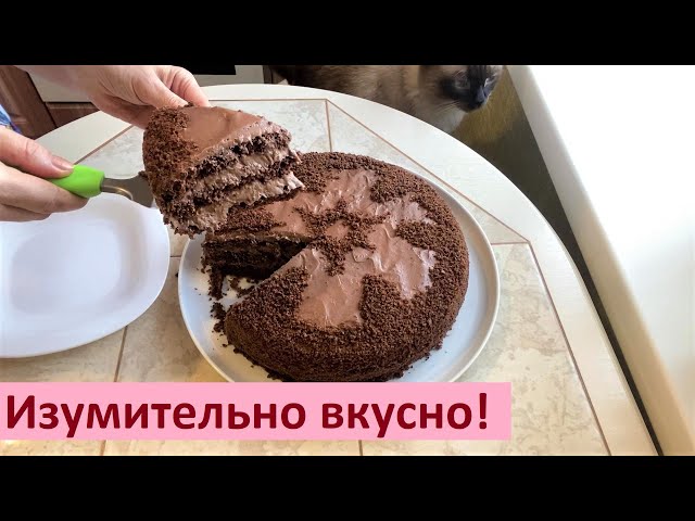 Шоколадный бисквитный торт 