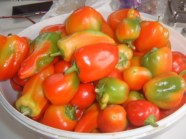 Маринованный перец с пряностями Маринованный перец с пряностями